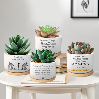 Office Desk Shelf Decor, Funny Succulent Plant Pot (Plants Not Included)