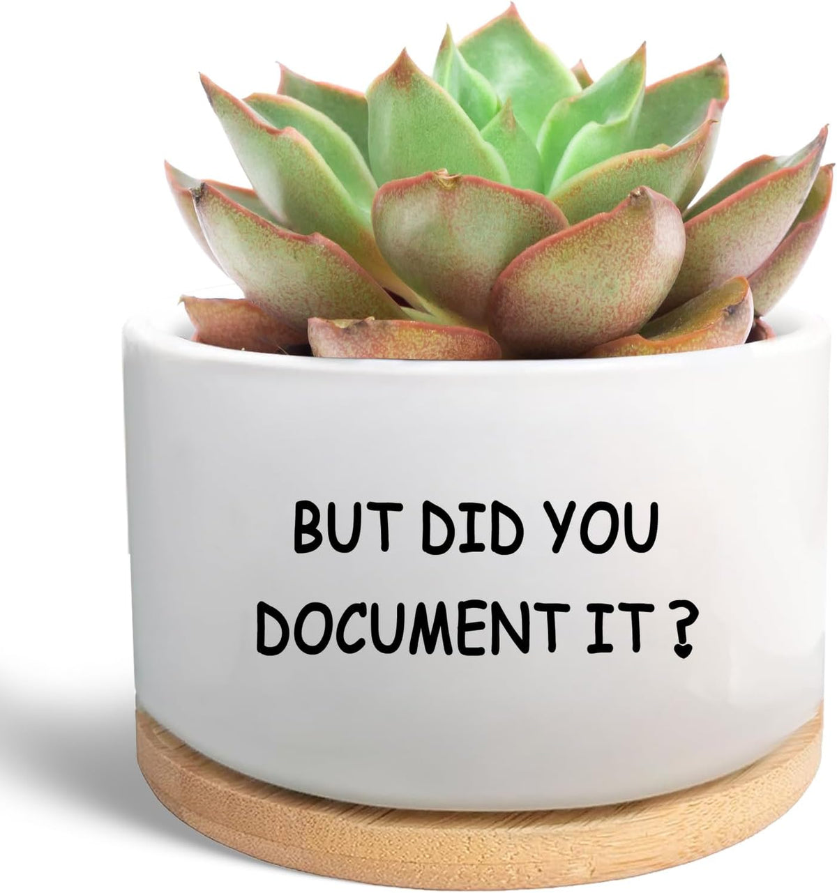 Office Desk Shelf Decor, Funny Succulent Plant Pot (Plants Not Included)
