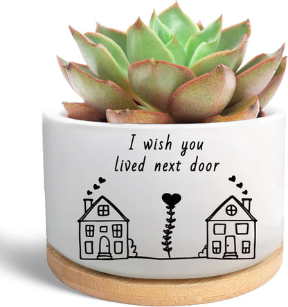 Office Desk Shelf Decor, Funny Succulent Plant Pot (Plants Not Included)