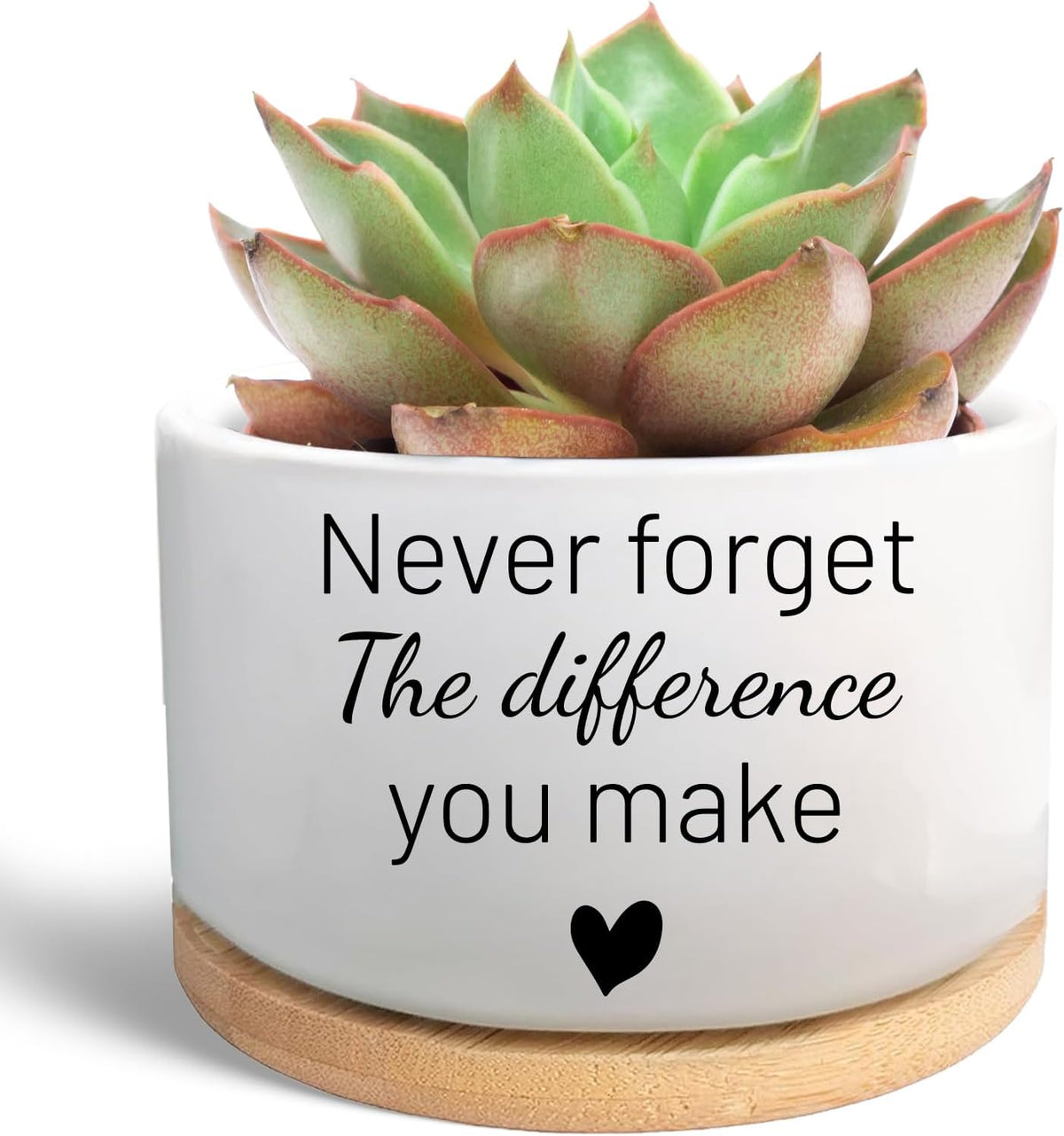 Office Desk Shelf Decor, Funny Succulent Plant Pot (Plants Not Included)