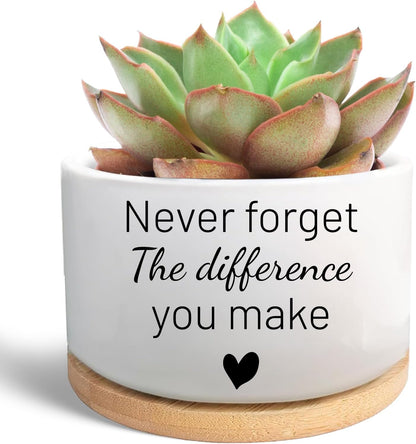 Office Desk Shelf Decor, Funny Succulent Plant Pot (Plants Not Included)