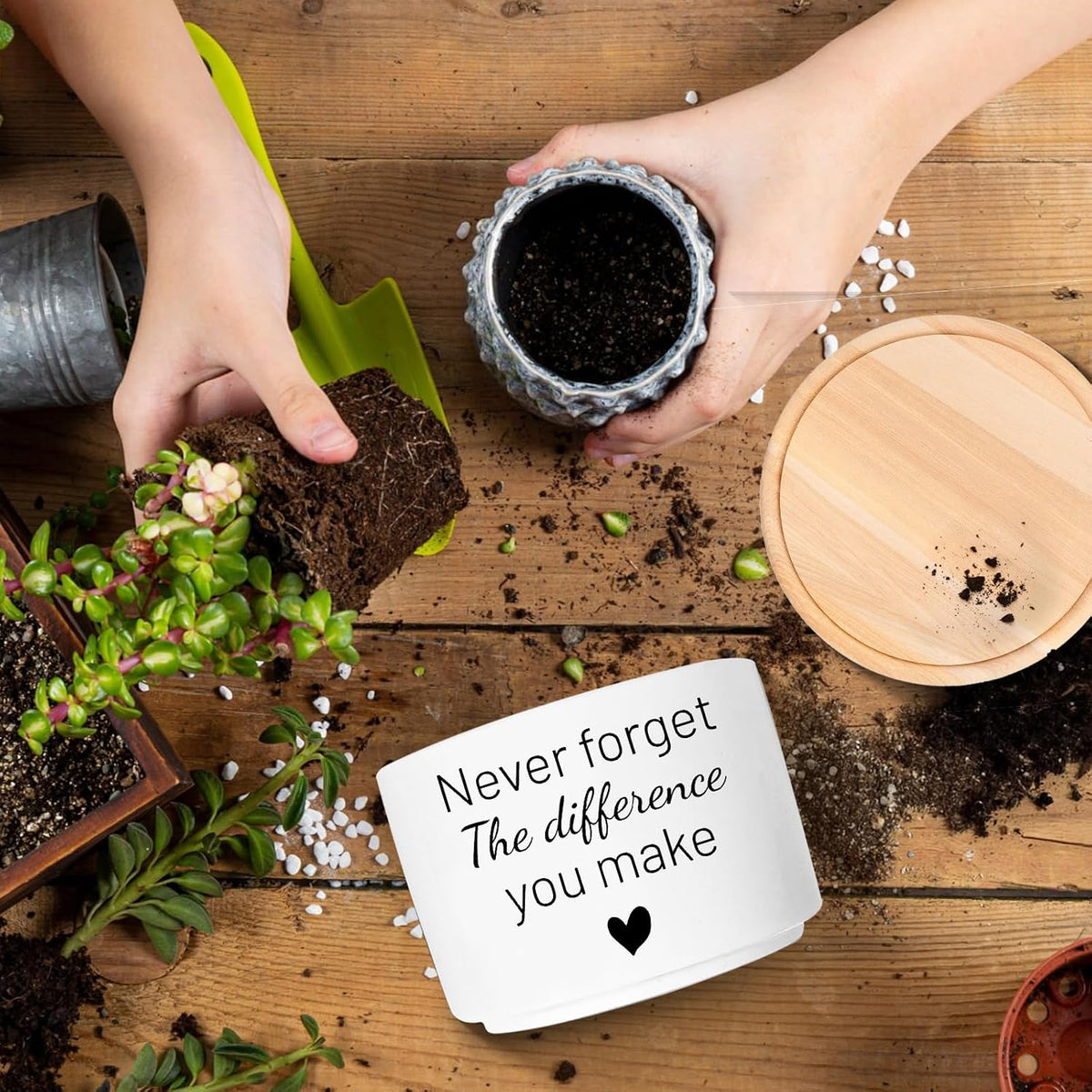 Office Desk Shelf Decor, Funny Succulent Plant Pot (Plants Not Included)