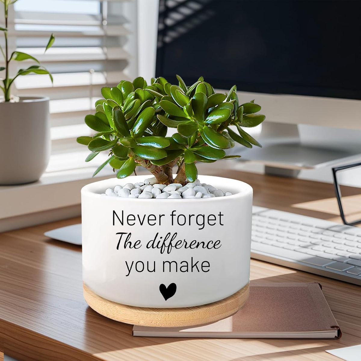 Office Desk Shelf Decor, Funny Succulent Plant Pot (Plants Not Included)
