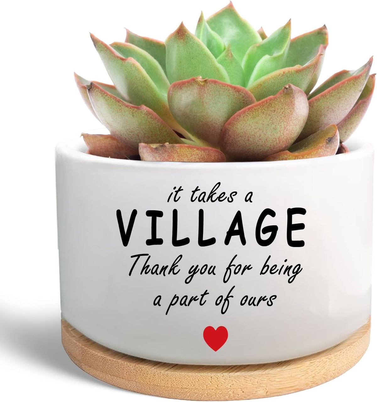 Office Desk Shelf Decor, Funny Succulent Plant Pot (Plants Not Included)
