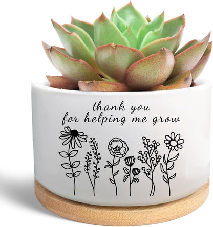 Office Desk Shelf Decor, Funny Succulent Plant Pot (Plants Not Included)