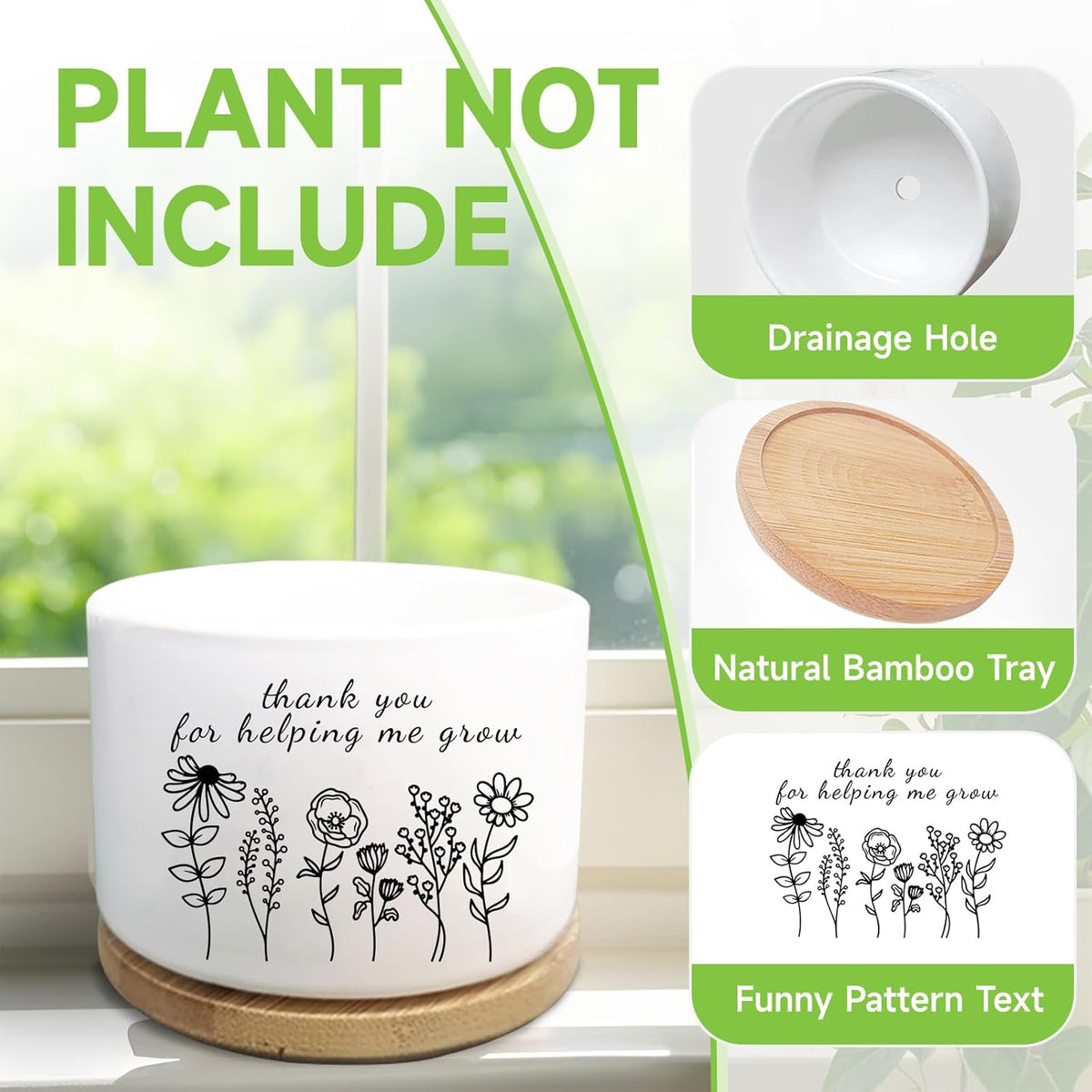 Office Desk Shelf Decor, Funny Succulent Plant Pot (Plants Not Included)