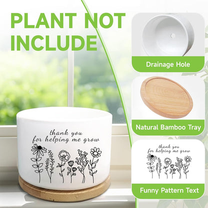 Office Desk Shelf Decor, Funny Succulent Plant Pot (Plants Not Included)