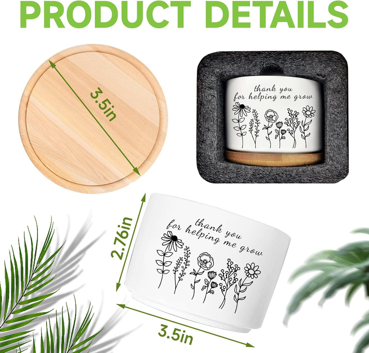 Office Desk Shelf Decor, Funny Succulent Plant Pot (Plants Not Included)