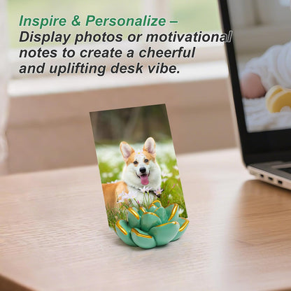 Resin Succulent Business Card Holder Set of 3 (White/Purple/Green) - Modern Desk Organizer for Office & Store, Vertical Name Card Display Stand - Unique Gift Idea & Home Decor