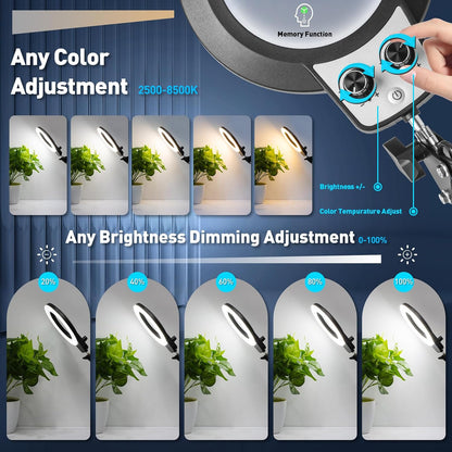 12X Magnifying Glass with Light and Stand, Extra-Long Arm Knob