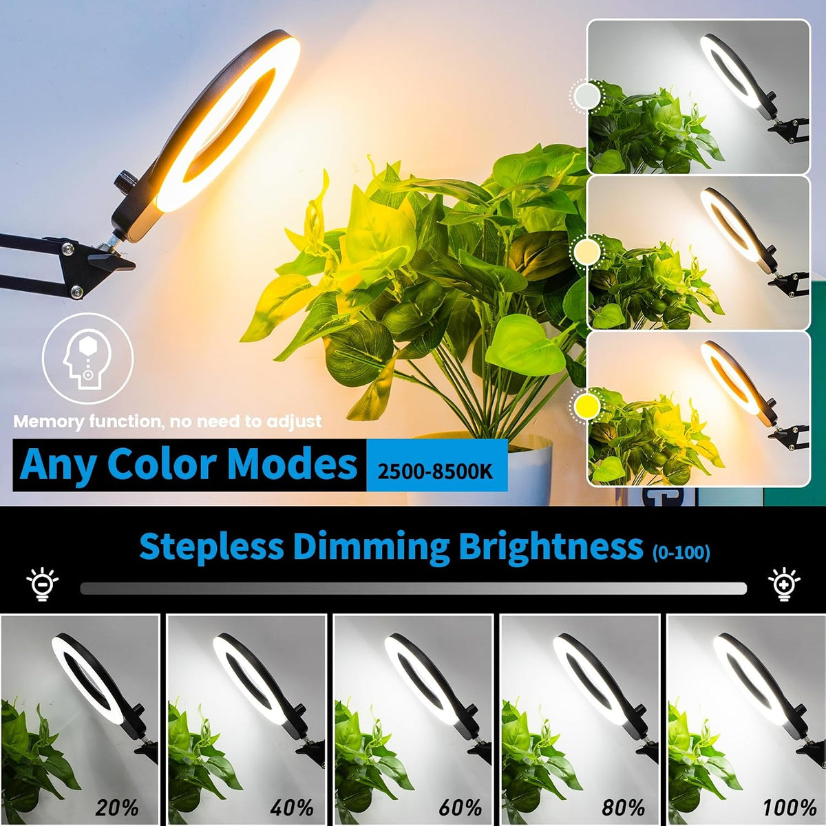 12X Magnifying Glass with Light and Stand, Extra-Long Arm Knob