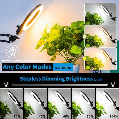 12X Magnifying Glass with Light and Stand, Extra-Long Arm Knob