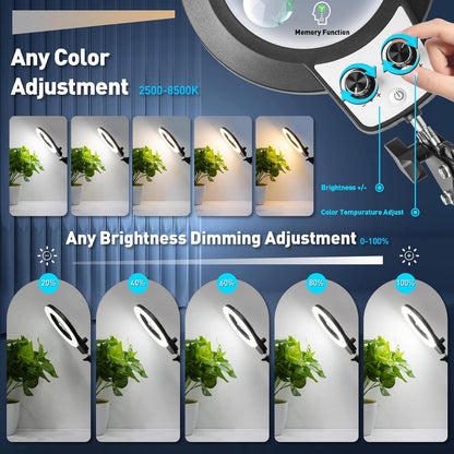 12X Magnifying Glass with Light and Stand, Extra-Long Arm Knob