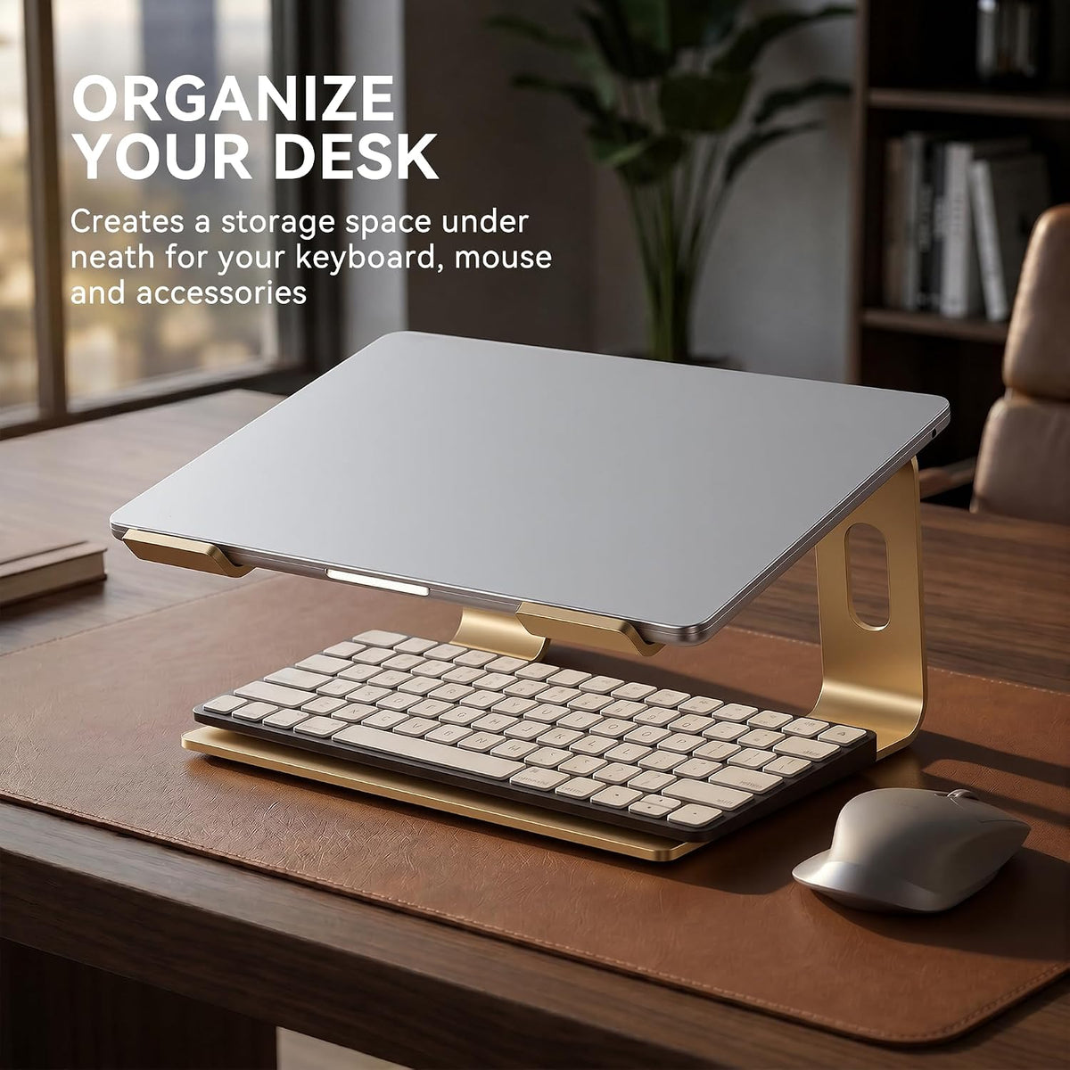 Laptop Stand, Aluminum Ergonomic Desk Riser, 10-15.6", Gold