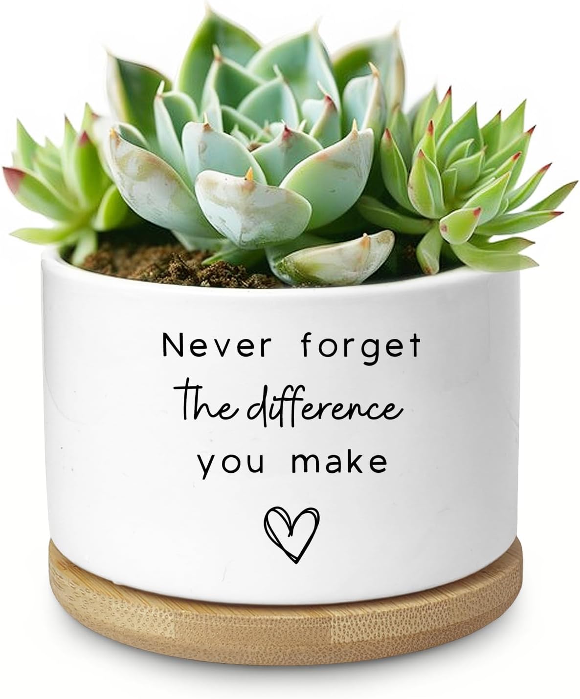Cute Succulent Planter, Flower Cactus Plant Pot Gifts, Going Away Farewell Thank You Inspirational Employee Appreciation Gifts for Women Men Coworkers Boss Lady Manager (No Plants)