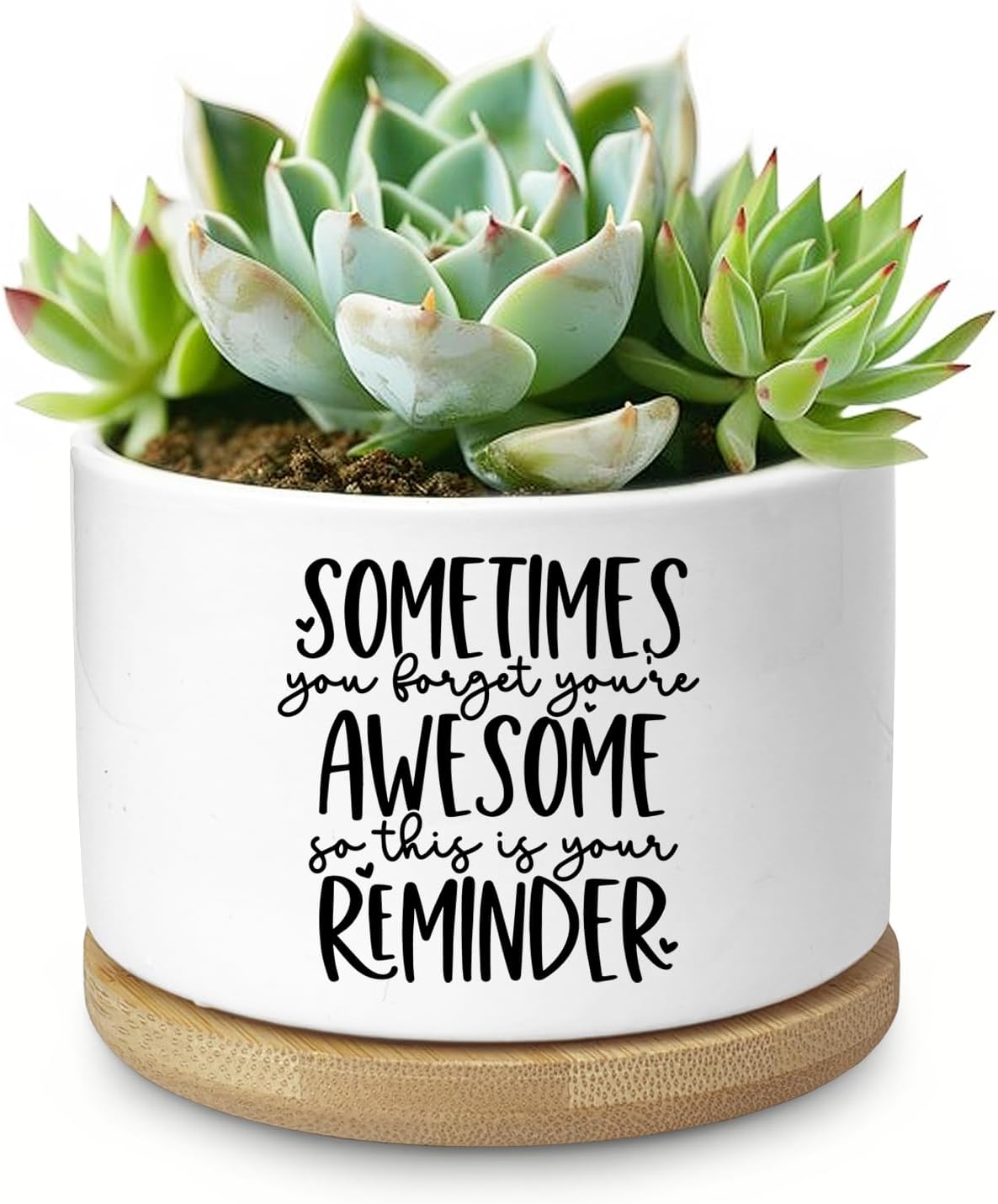 Cute Succulent Planter, Flower Cactus Plant Pot Gifts, Going Away Farewell Thank You Inspirational Employee Appreciation Gifts for Women Men Coworkers Boss Lady Manager (No Plants)