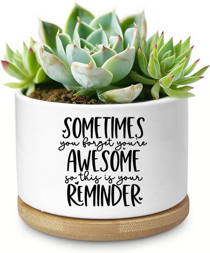 Cute Succulent Planter, Flower Cactus Plant Pot Gifts, Going Away Farewell Thank You Inspirational Employee Appreciation Gifts for Women Men Coworkers Boss Lady Manager (No Plants)
