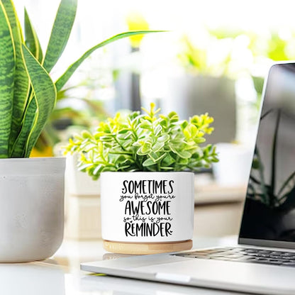 Cute Succulent Planter, Flower Cactus Plant Pot Gifts, Going Away Farewell Thank You Inspirational Employee Appreciation Gifts for Women Men Coworkers Boss Lady Manager (No Plants)