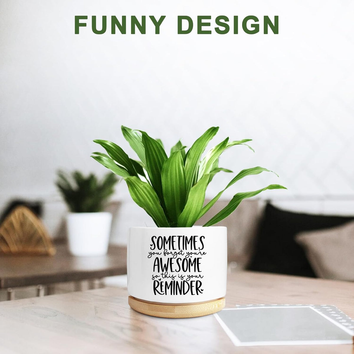 Cute Succulent Planter, Flower Cactus Plant Pot Gifts, Going Away Farewell Thank You Inspirational Employee Appreciation Gifts for Women Men Coworkers Boss Lady Manager (No Plants)