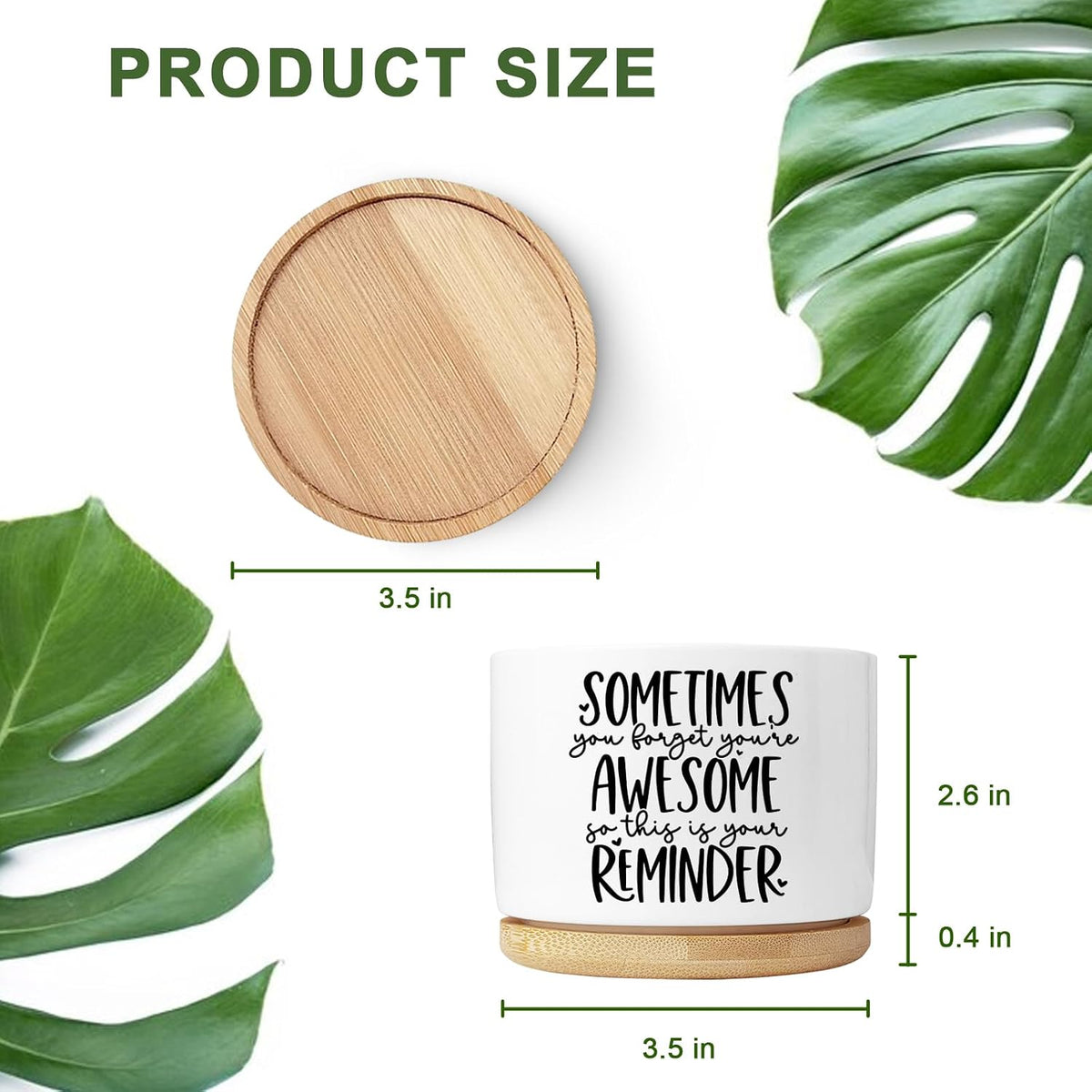 Cute Succulent Planter, Flower Cactus Plant Pot Gifts, Going Away Farewell Thank You Inspirational Employee Appreciation Gifts for Women Men Coworkers Boss Lady Manager (No Plants)