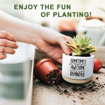 Cute Succulent Planter, Flower Cactus Plant Pot Gifts, Going Away Farewell Thank You Inspirational Employee Appreciation Gifts for Women Men Coworkers Boss Lady Manager (No Plants)