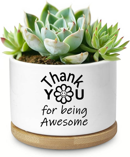 Cute Succulent Planter, Flower Cactus Plant Pot Gifts, Going Away Farewell Thank You Inspirational Employee Appreciation Gifts for Women Men Coworkers Boss Lady Manager (No Plants)