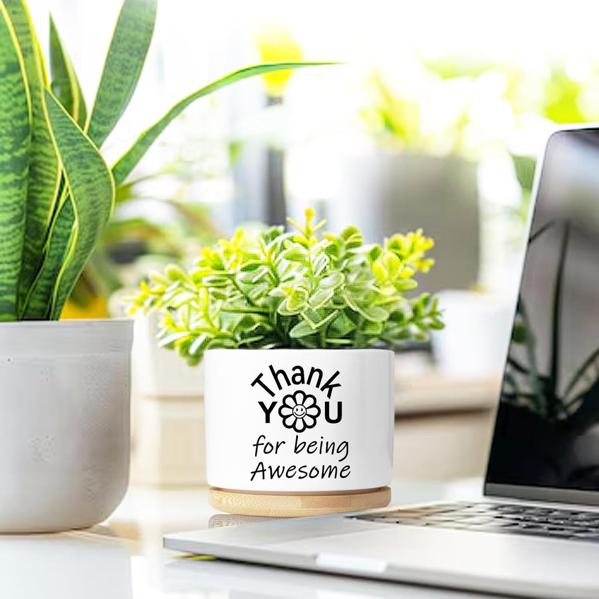 Cute Succulent Planter, Flower Cactus Plant Pot Gifts, Going Away Farewell Thank You Inspirational Employee Appreciation Gifts for Women Men Coworkers Boss Lady Manager (No Plants)