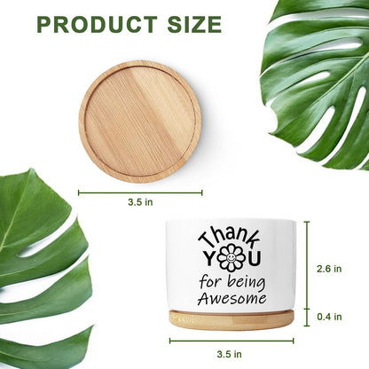 Cute Succulent Planter, Flower Cactus Plant Pot Gifts, Going Away Farewell Thank You Inspirational Employee Appreciation Gifts for Women Men Coworkers Boss Lady Manager (No Plants)