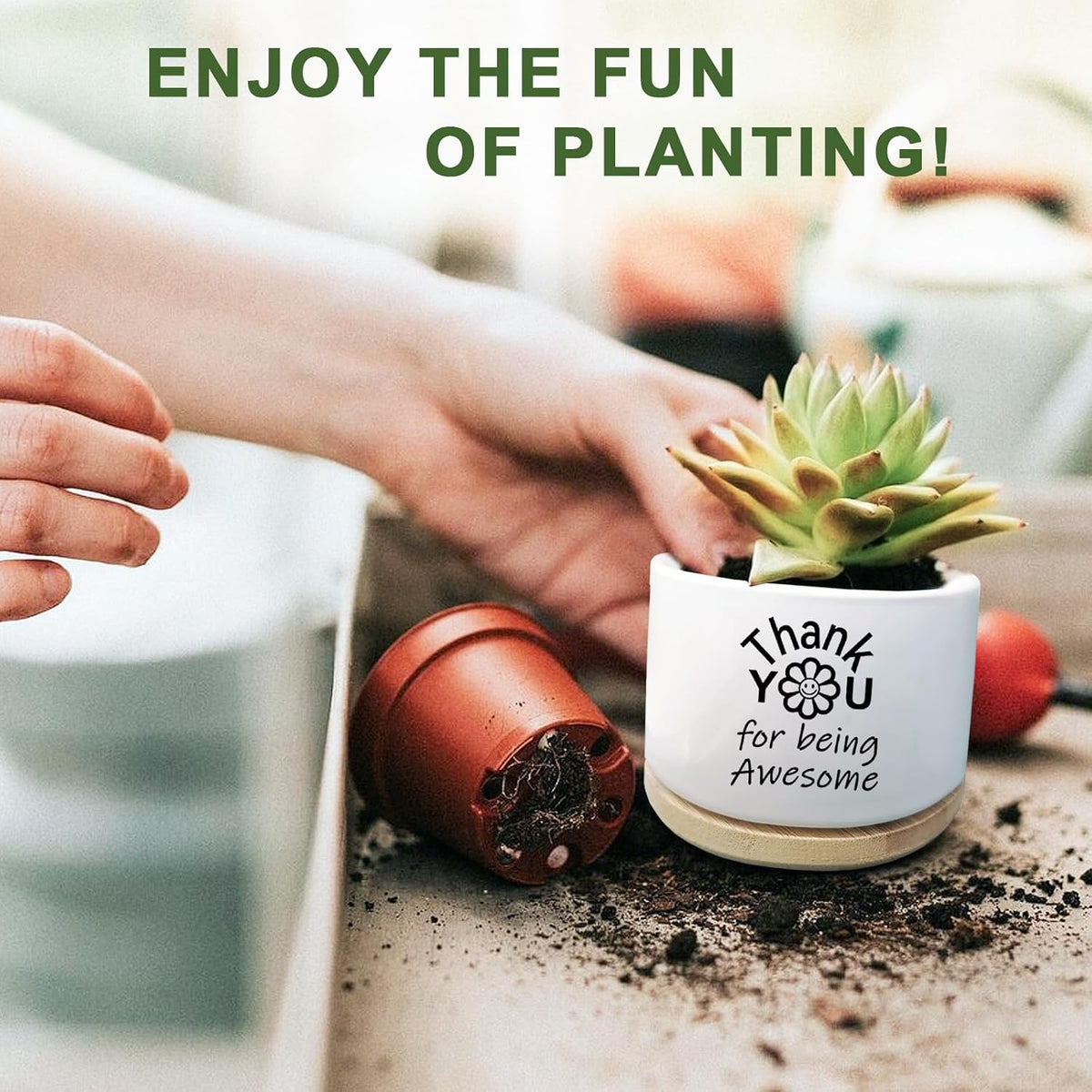 Cute Succulent Planter, Flower Cactus Plant Pot Gifts, Going Away Farewell Thank You Inspirational Employee Appreciation Gifts for Women Men Coworkers Boss Lady Manager (No Plants)