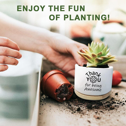 Cute Succulent Planter, Flower Cactus Plant Pot Gifts, Going Away Farewell Thank You Inspirational Employee Appreciation Gifts for Women Men Coworkers Boss Lady Manager (No Plants)