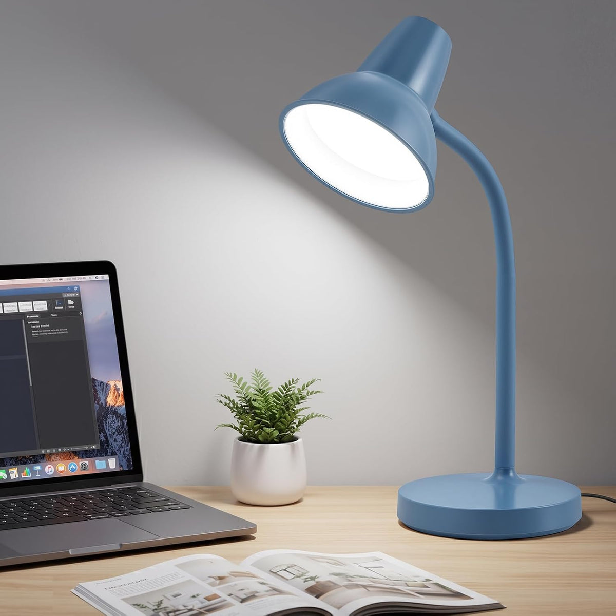 Clip On LED Desk Lamp, Flexible Arm, Eye-Caring Study Lamps for School Dorm