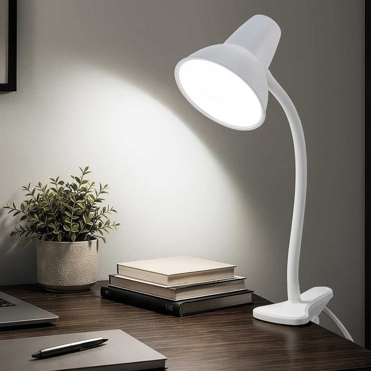 Clip On LED Desk Lamp, Flexible Arm, Eye-Caring Study Lamps for School Dorm