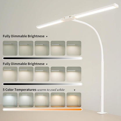 LED Desk Lamp for Office Home, Adjustable Flexible Eye-Caring Desk Light with,5 Modes 10 Brightness Adjustment, USB Adapter Desk Lamp with Clamp-MINI-B