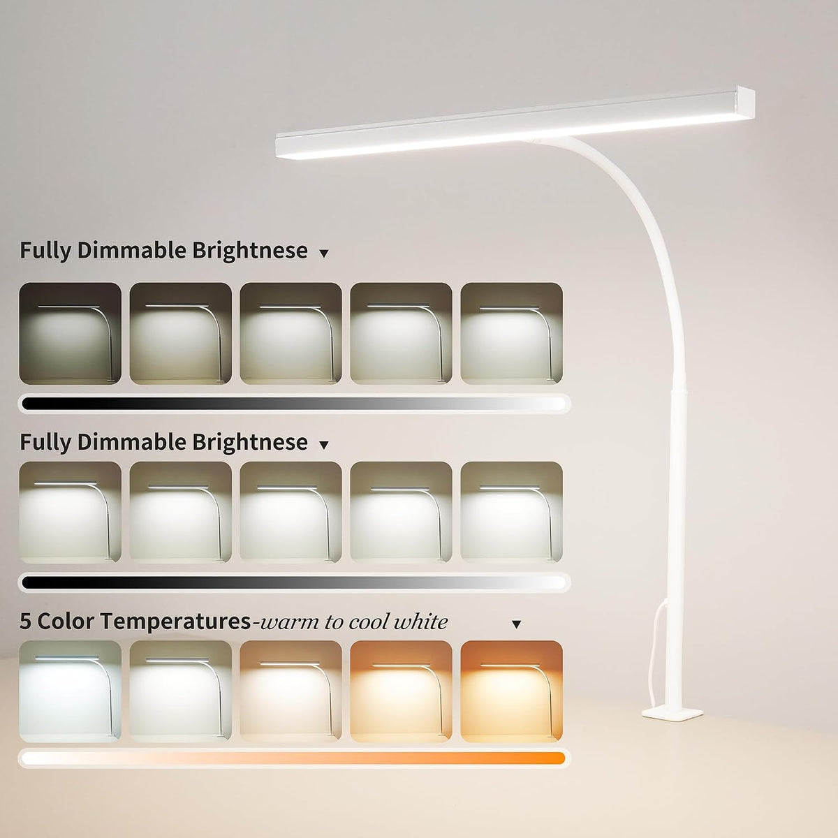 LED Desk Lamp for Office Home, Adjustable Flexible Eye-Caring Desk Light with,5 Modes 10 Brightness Adjustment, USB Adapter Desk Lamp with Clamp-MINI-B