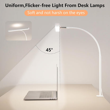 LED Desk Lamp for Office Home, Adjustable Flexible Eye-Caring Desk Light with,5 Modes 10 Brightness Adjustment, USB Adapter Desk Lamp with Clamp-MINI-B