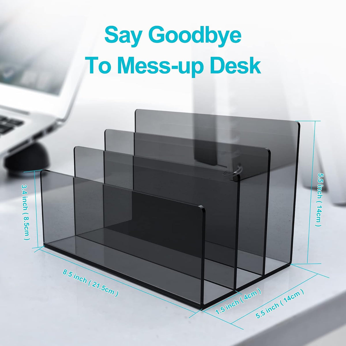 Boloyo Acrylic File Holder, 2 Sections Clear File Organizer Mail Letter Sorter Desktop Folder Holder for Home Office School Envelope Bill Filling Paper Document
