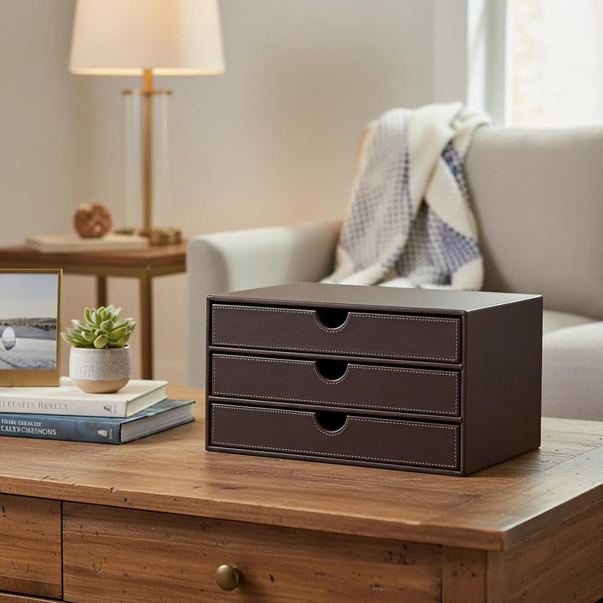 Document Organizer, 3-Drawer File Cabinet Document Storage Box, Office Desktop Filing Organizer, Dark Ivy
