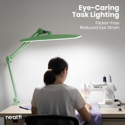 LED Desk Lamp, 2200 Lumens, 24W, 20-Inch Wide Head (Black)