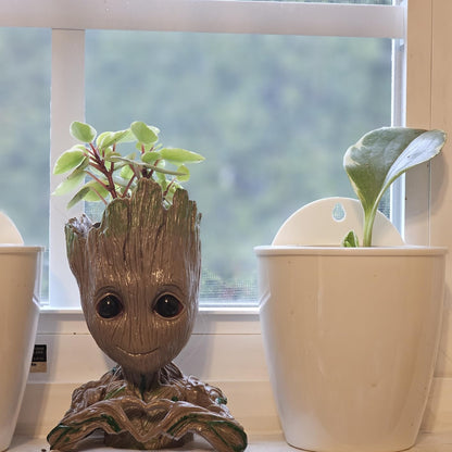 Baby Groot Pens Holder or Groot planter Pot Perfect for Tiny Succulents 6"