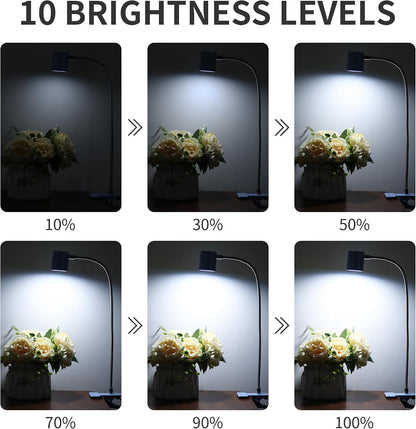 Desk Lamp USB Clip On Light,Book Lights for Reading at Night Clamp Light