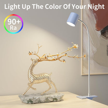 Desk Lamp USB Clip On Light,Book Lights for Reading at Night Clamp Light