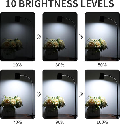 Desk Lamp USB Clip On Light,Book Lights for Reading at Night Clamp Light