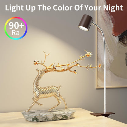 Desk Lamp USB Clip On Light,Book Lights for Reading at Night Clamp Light
