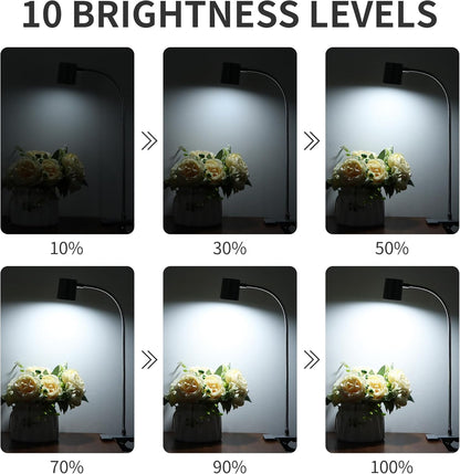 Desk Lamp USB Clip On Light,Book Lights for Reading at Night Clamp Light
