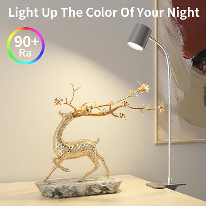 Desk Lamp USB Clip On Light,Book Lights for Reading at Night Clamp Light
