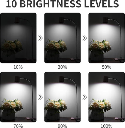 Desk Lamp USB Clip On Light,Book Lights for Reading at Night Clamp Light
