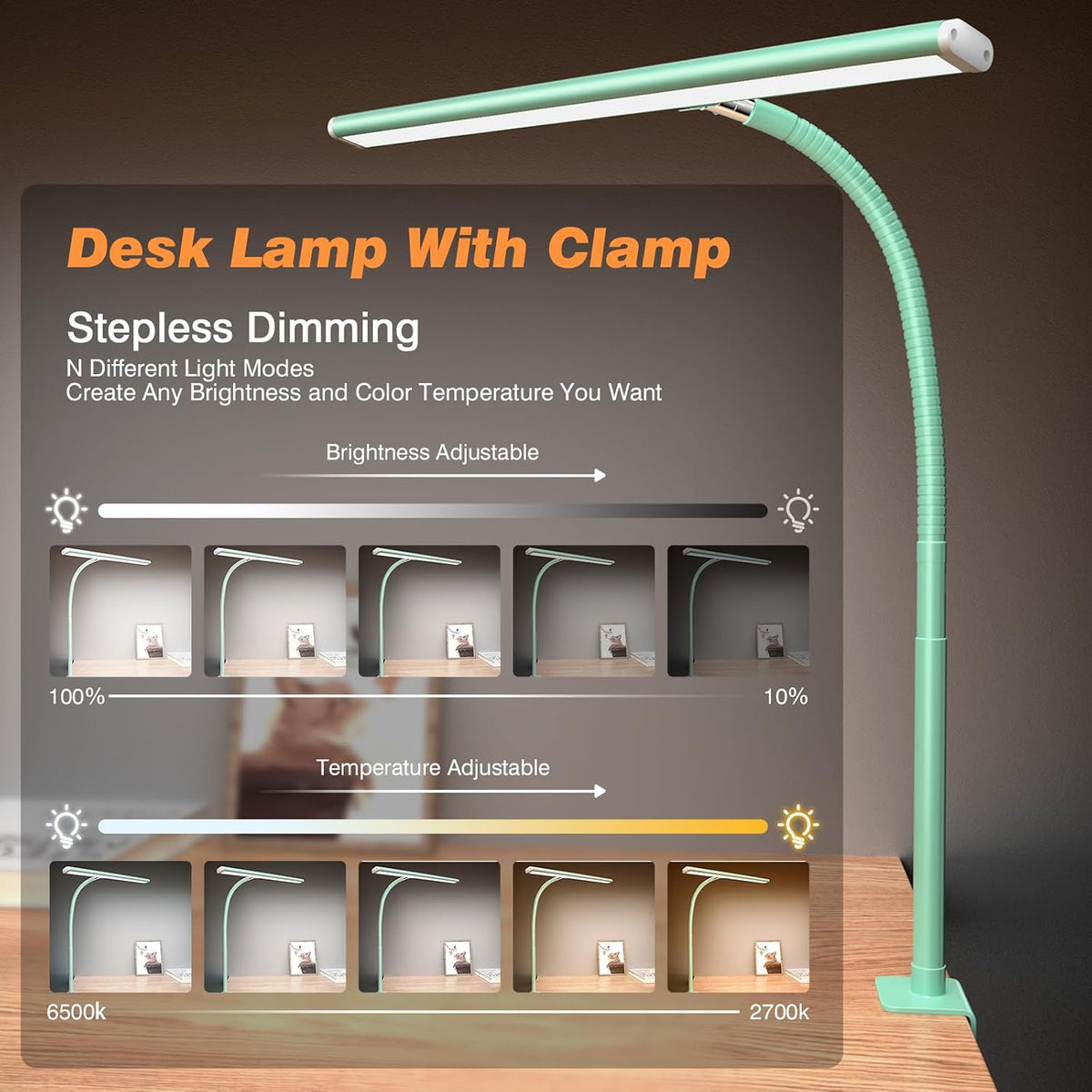 LED Desk Lamp with Clamp, 17" Stepless Dimming Light, Black
