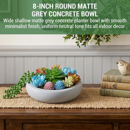 MyGift 8 Inch Round Artificial Succulent Plants in Gray Concrete Plant Bowl