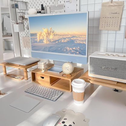 Dual Monitor Stand Riser with Drawer for Desk Laptop