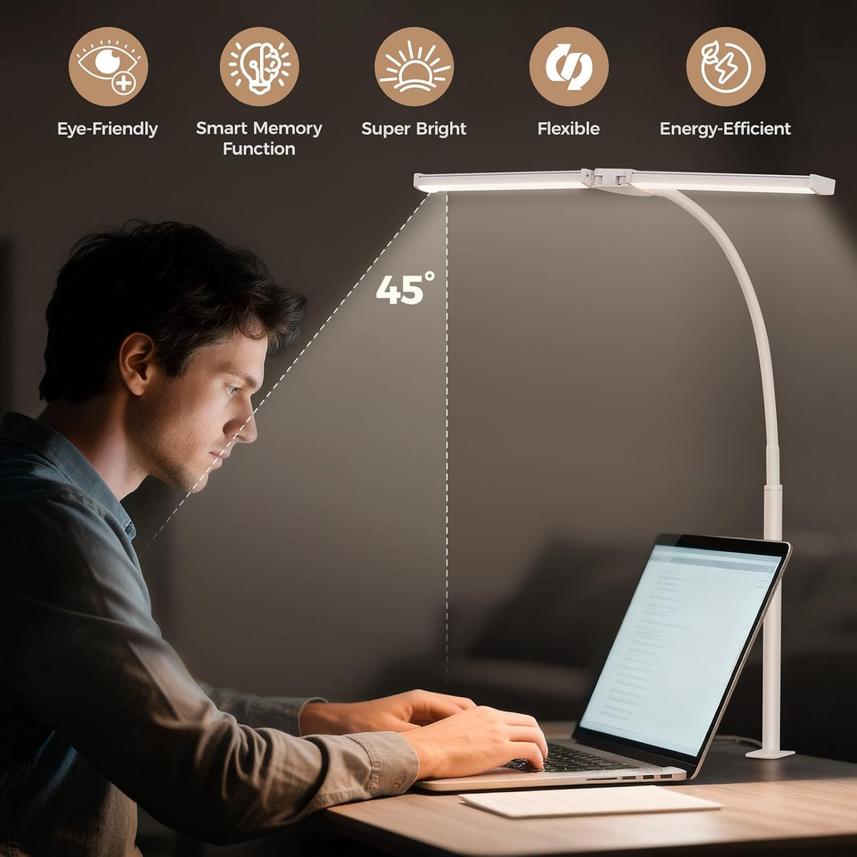 LED Desk Lamp for Home Office, Double Head Desk Light with Clamp